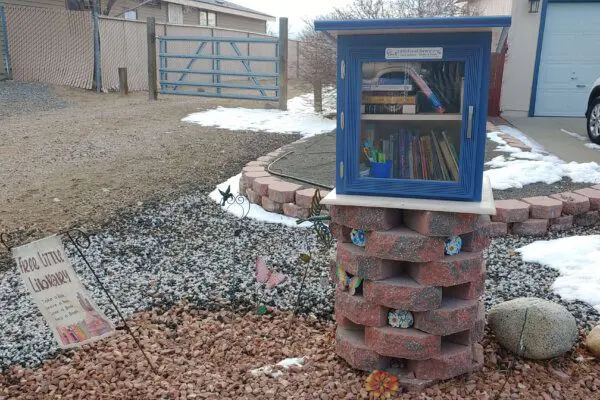 Little Free Libraries: A Worldwide Phenomenon Free Little Library, Sun Valley, NV