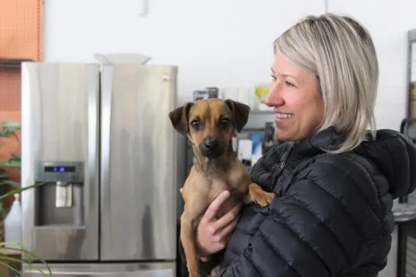 Pet of the Week: Gustavo Pet's Name: Gus (Gustavo) and Pet Parent: Nicole Ellsworth