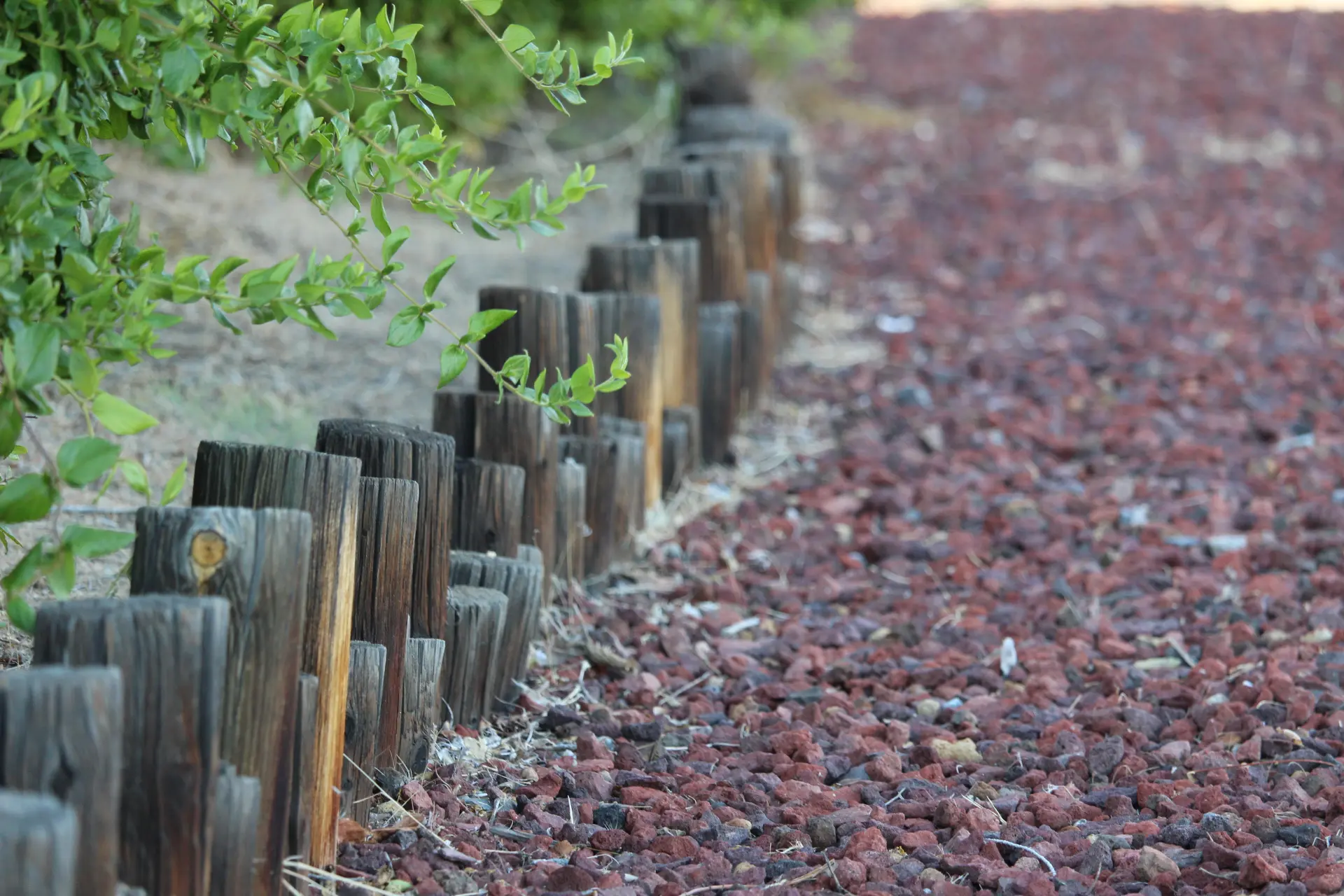 Sun Valley Insider Photo of the Week: Dividing Line