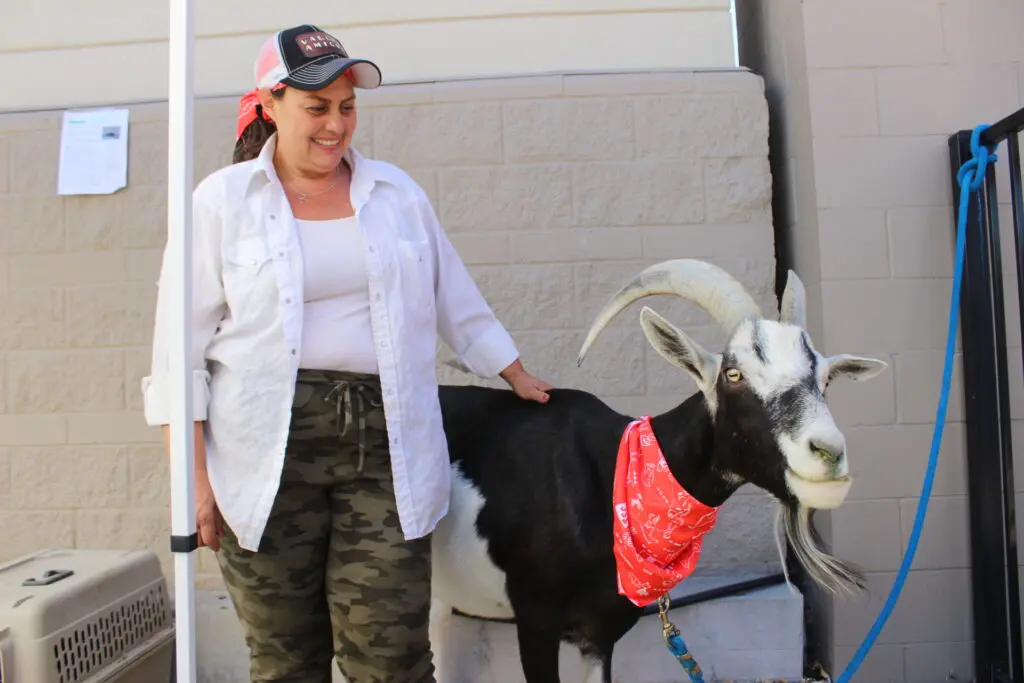 Spotamus and owner Veronica Cortes-Tamantini from Valley Amigos non-profit horseback riding club and mobile petting zoo in Sun Valley, Nevada.