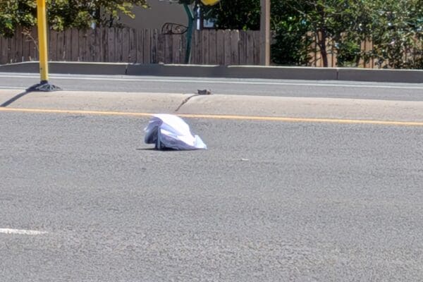 A discarded book on Sun Valley Blvd.