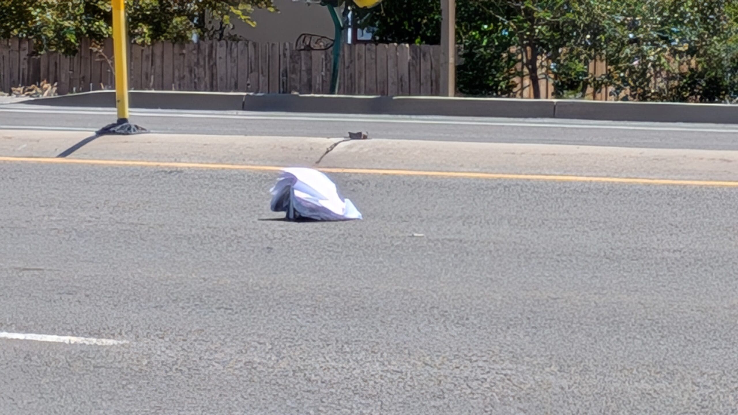 A discarded book on Sun Valley Blvd.