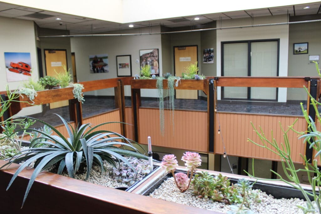 Custom-made planter boxes on the third floor are self-watering and feature a wide variety of beautiful, small plants