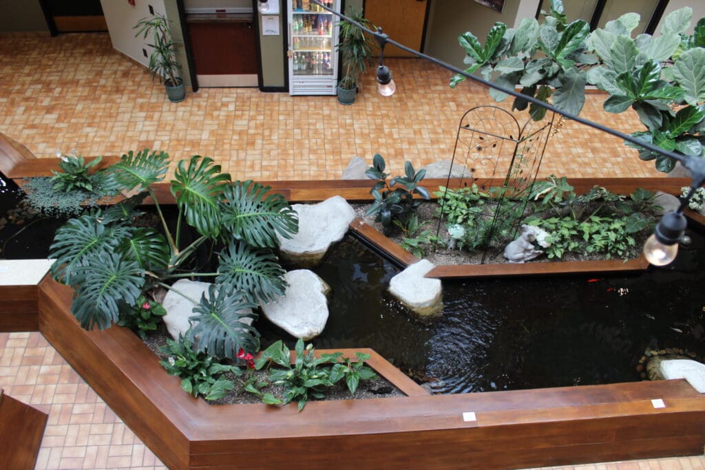 An overhead view of a section of the fish pond and plant garden