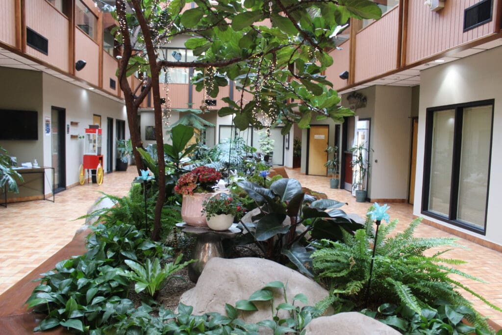 Visiting the atrium at Airport Gardens is a visual treat. The closer you look, the more there is to see!
