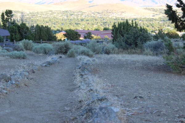 Shade vs. Sun at Sun Valley Regional Park in Sun Valley, NV