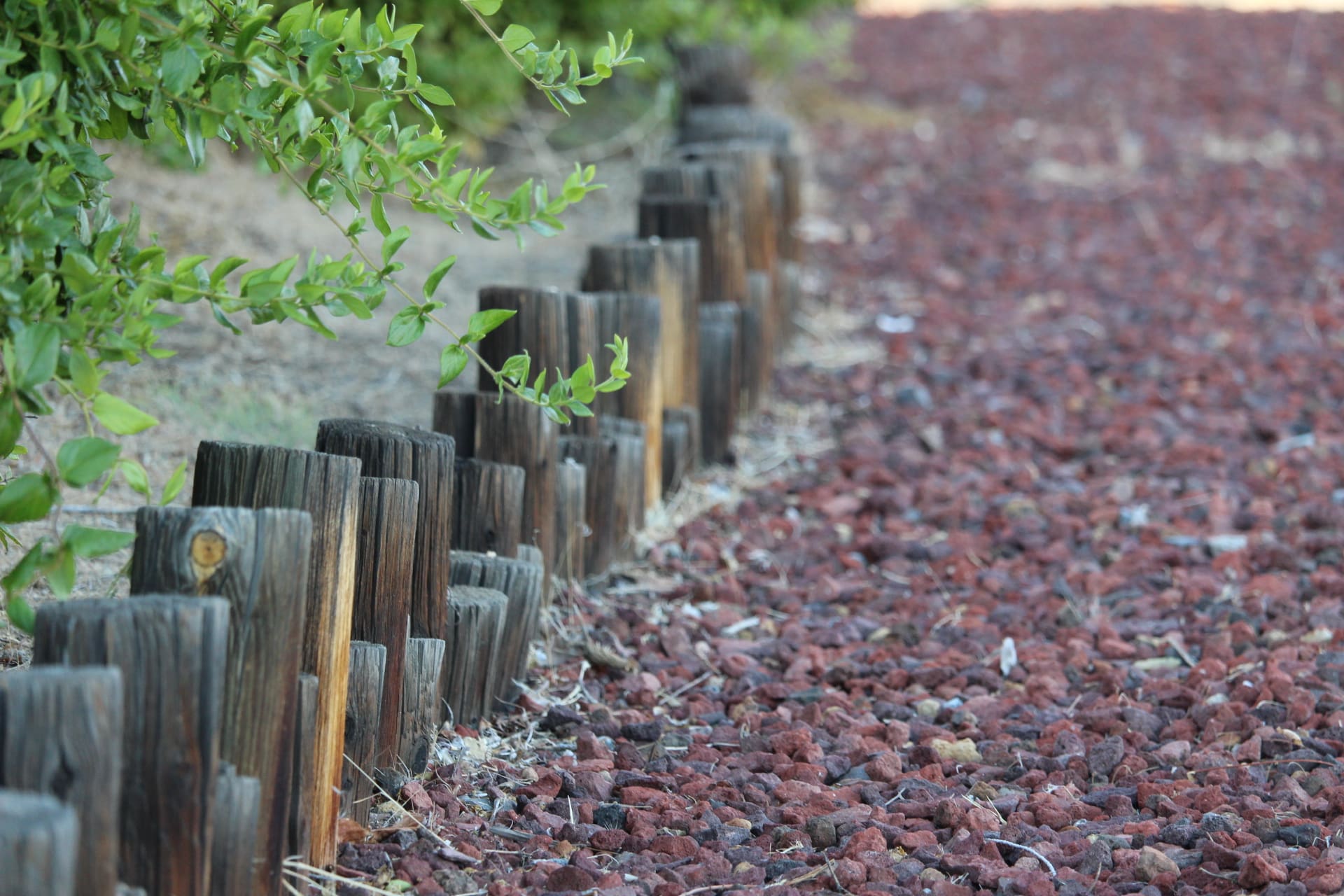 Sun Valley Insider Photo of the Week: Dividing Line