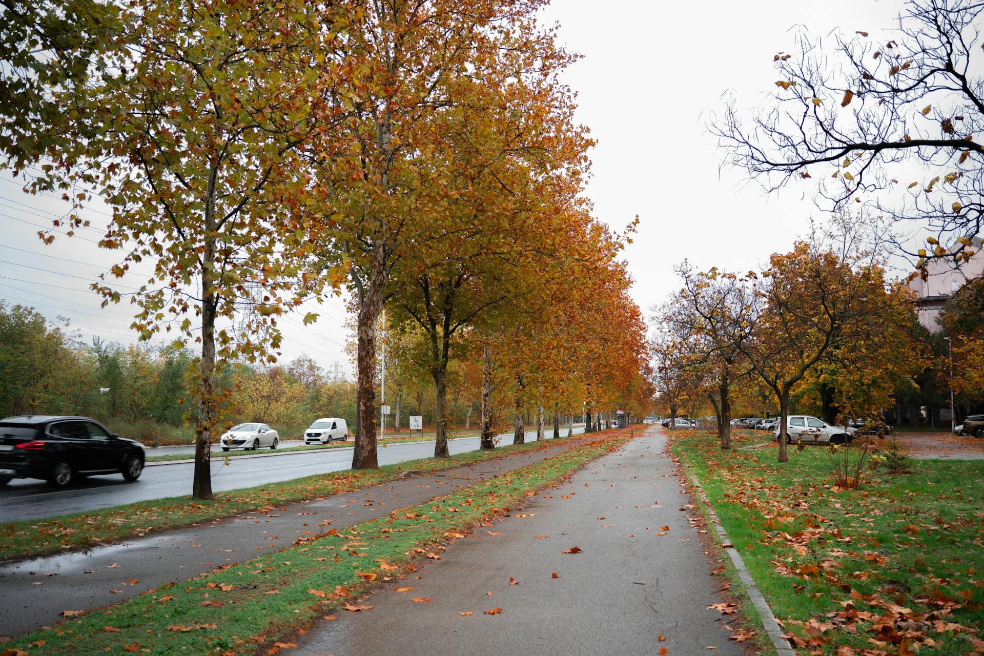 Photo by Božo Gunjajević from Pexels: https://www.pexels.com/photo/scenic-autumn-road-with-fallen-leaves-and-cars-35061228/