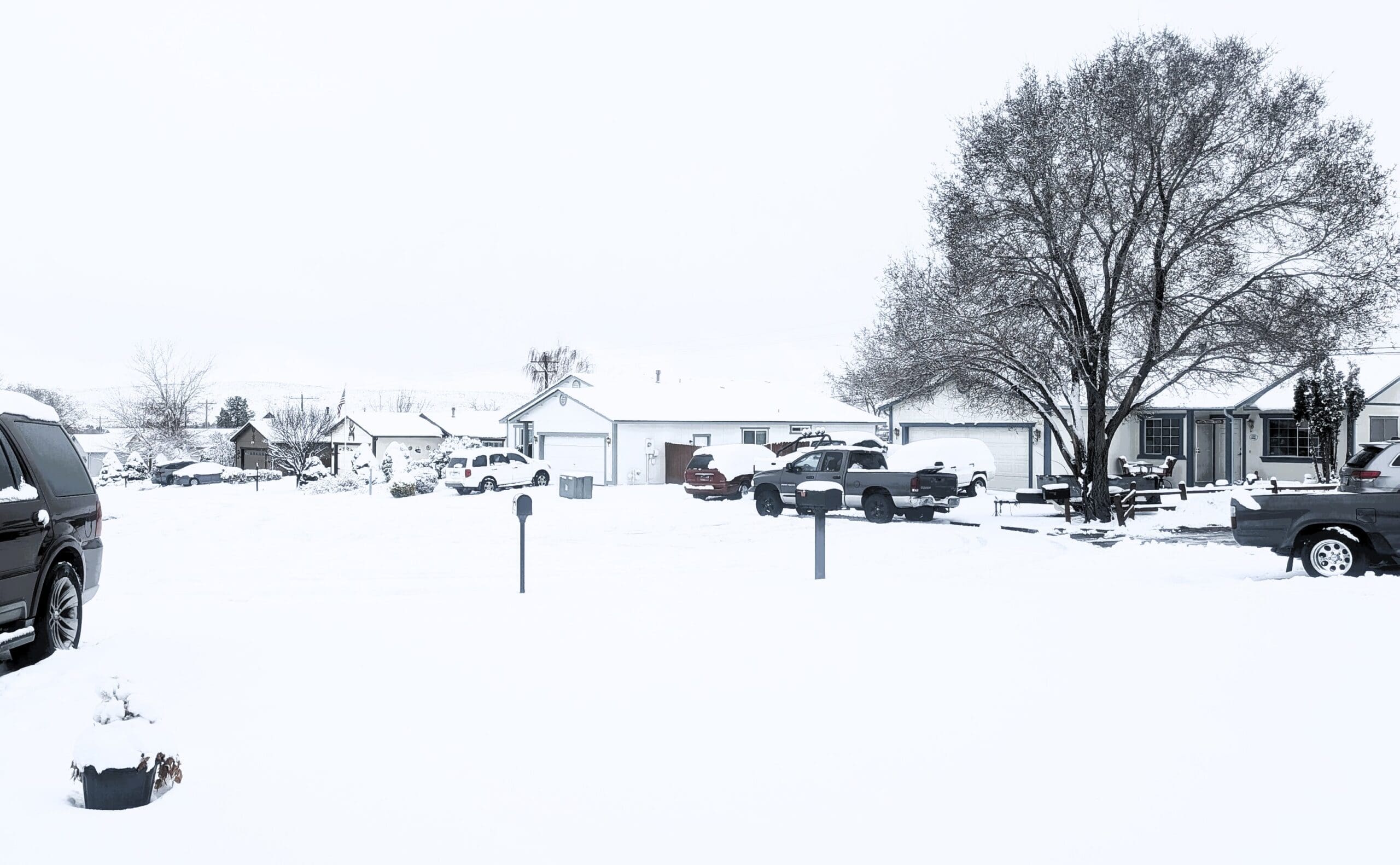 Sun Valley Snowfall, February 16-17, 2026. Copyright © 2026 Richard Barnet.